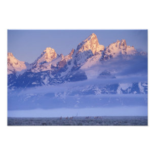 Foto Norteamérica, EE. UU., Wyoming, Grand Teton NP, 2