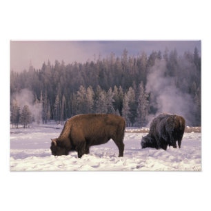 Foto Norteamérica, EE. UU., Wyoming, Parque Nacional Ye