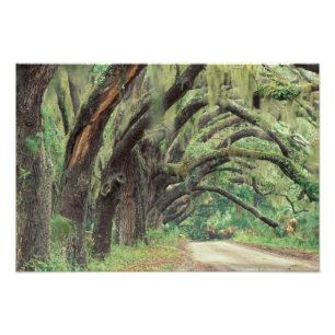 Foto Norteamérica, Estados Unidos, Georgia, Cumberland