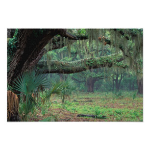 Foto Norteamérica, Estados Unidos, Georgia, Cumberland