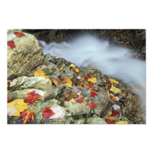 Foto Norteamérica, Estados Unidos, NH, Caída en Nueva