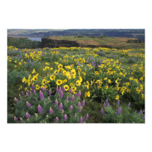 Foto Norteamérica, Estados Unidos, Oregón, río Colum