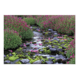 Foto Norteamérica, Estados Unidos, Washington, Monte R