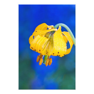 Foto Norteamérica, Estados Unidos, Washington, Olimpia