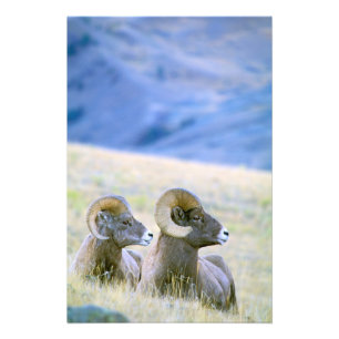 Foto Norteamérica, Estados Unidos, Wyoming, Yellowstone