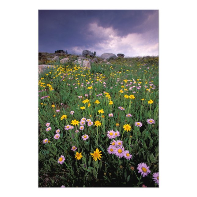 Foto Norteamérica, Estados Unidos, Wyoming, Yellowstone (Frente)