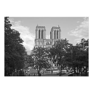 Foto Notre Dame de Paris en el ambiente de árboles