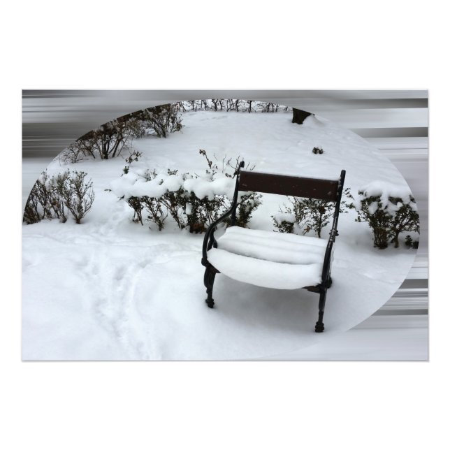 Foto Nueva nieve en el sillón (Frente)