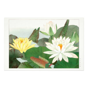 Foto Nymphaea lotus, grabado en madera japonés, 1917