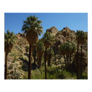 Foto Oasis Lost Palms I en el Parque Nacional Joshua Tr