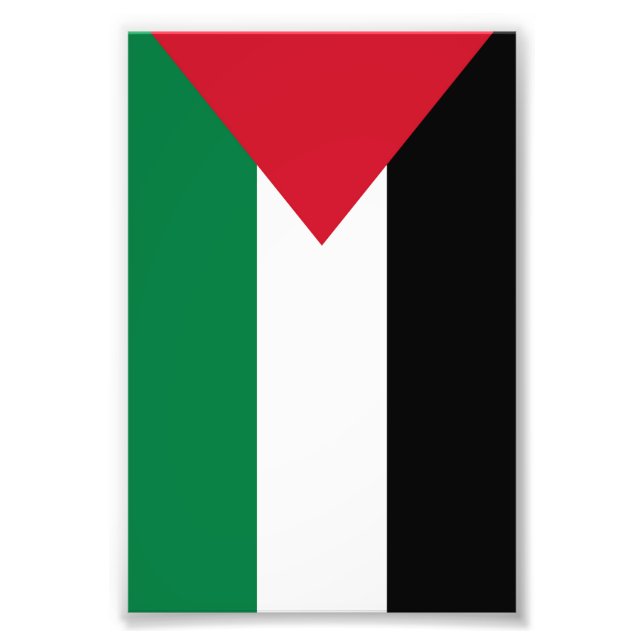 Foto oficialmente bandera del Estado de Palestina (Frente)