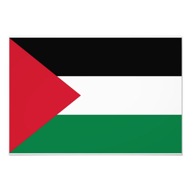 Foto oficialmente bandera del Estado de Palestina (Frente)