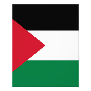 Foto oficialmente bandera del Estado de Palestina