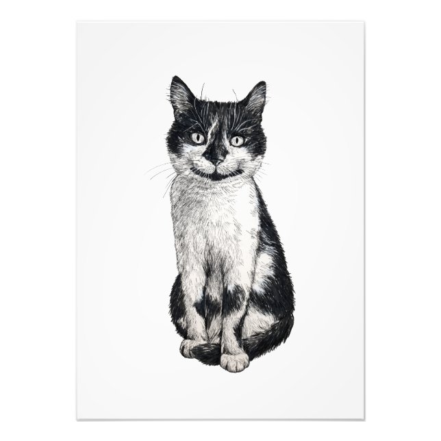 Foto Ogie el gato (Frente)