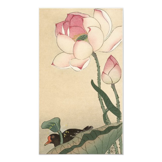 Foto Ohara Koson, Lotus Flower - Arte japonés (Frente)