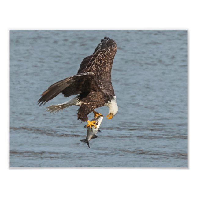 Foto Ojo A Ojo (Frente)