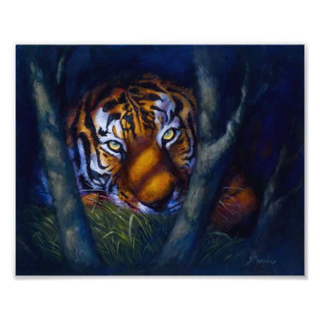 Foto Ojos de tigre (Frente)