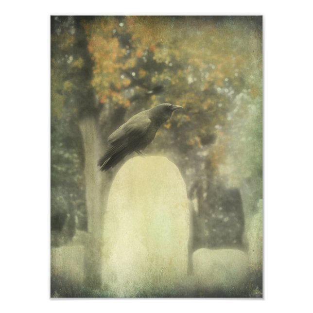 Foto Old Graveyard Raven (Frente)