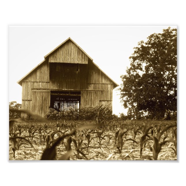 Foto Old Kentucky Tobacco Barn (Frente)