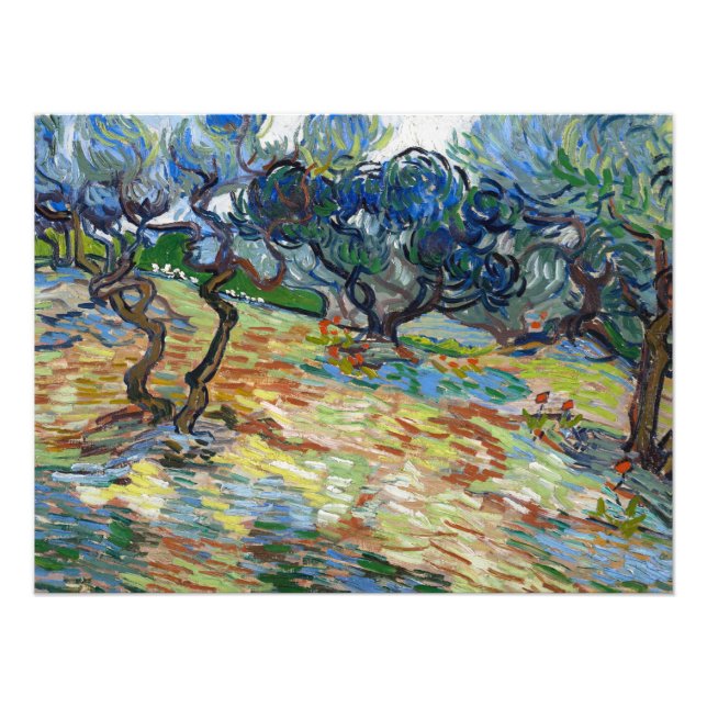 Foto Olivos de Vincent van Gogh (Frente)