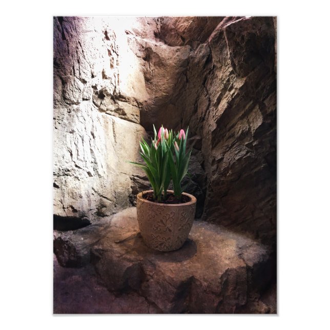 Foto Olla de tulipanes en una Grotto (Frente)