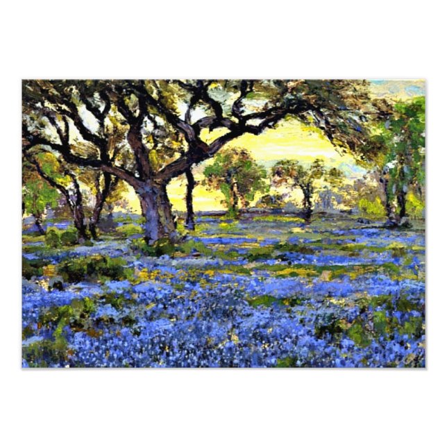 Foto Onderdonk - Árbol de roble antiguo y Bluebonnets (Frente)