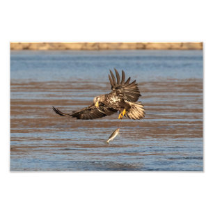 Foto Oops, Lo Dejé.