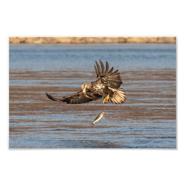 Foto Oops, Lo Dejé. (Frente)