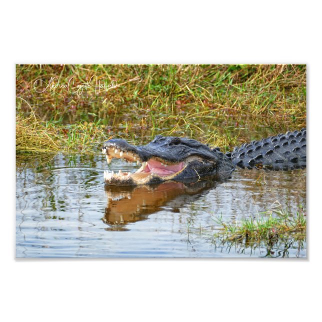 Foto Open Mouth (Frente)