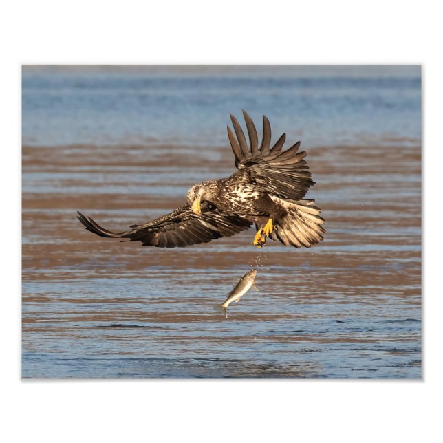 Foto Oportunidad perdida (Frente)