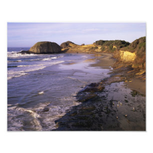 Foto OR, Costa de Oregón, Newport, costa en Seal