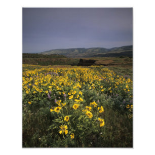 Foto OR, desfiladero del río Columbia, meseta de Rowena