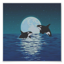 Foto Orca Killer Whale Moonlight