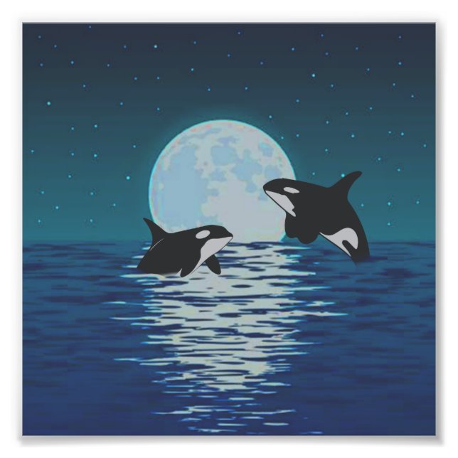 Foto Orca Killer Whale Moonlight (Frente)