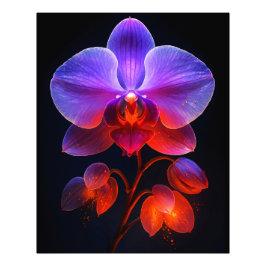 Foto Orchideen Blüte im Strahlendem Licht