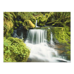 Foto Oregón, Cascada en el bosque nacional Willamette
