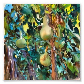Foto Orígenes De Árbol De Calabash En Arte Acrílico De