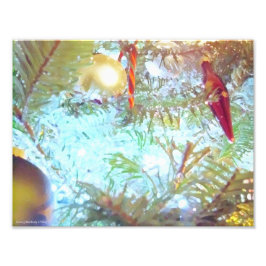 Foto Ornamentos de vacaciones en la luz