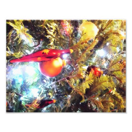 Foto Ornamentos ilustrativos