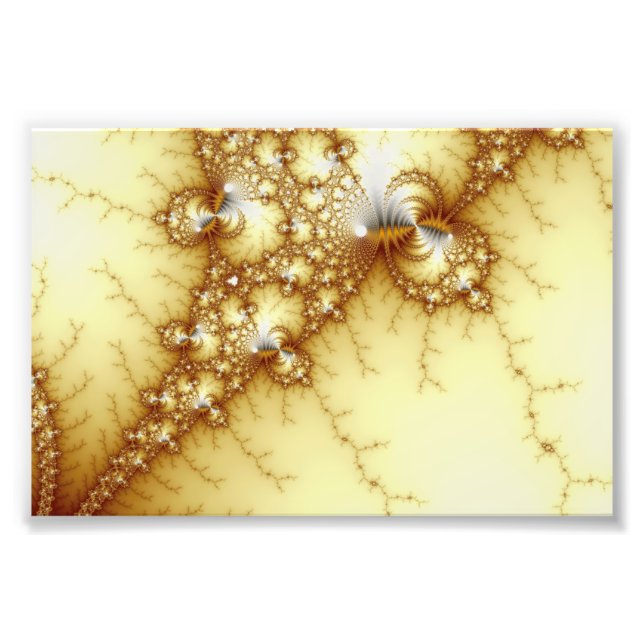 Foto Oro de Tontos - Arte Fractal (Frente)