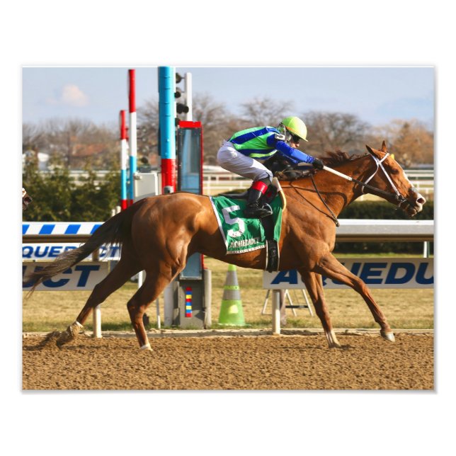 Foto Oroak vertical (Frente)