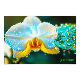 Foto Orquídea Blanca Elegante con Gotitas de Agua Botán