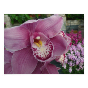 Foto Orquídea Púrpura y Floral colorida en el jardín