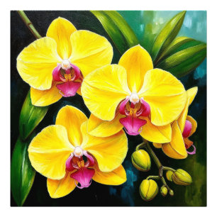 Foto Orquídeas Amarillas para Decoración del Hogar y Re