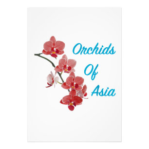 Foto Orquídeas de Asia Spa de Día