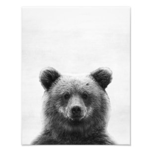 Foto Oso