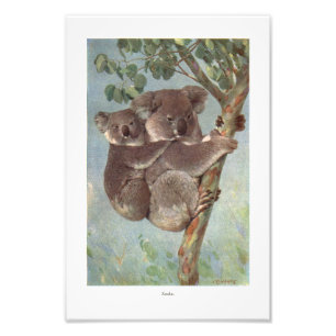 Foto Oso de koala en el ilustracion del árbol