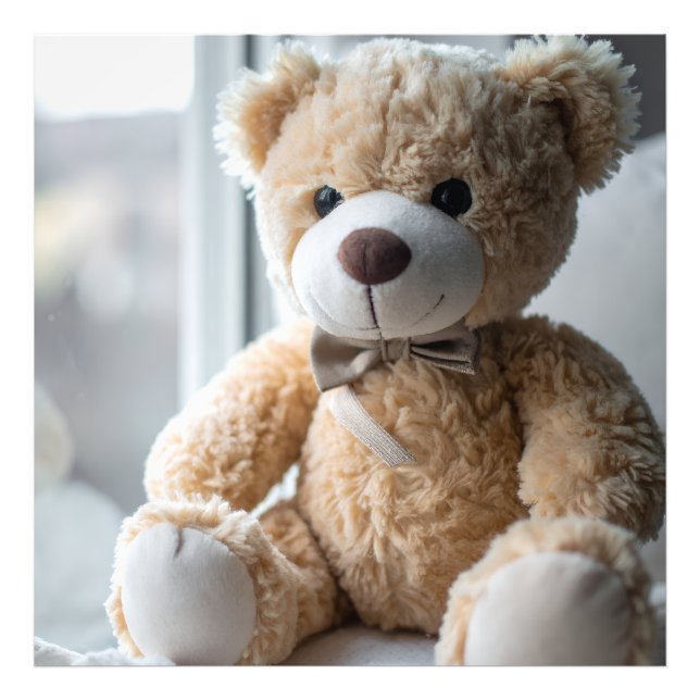 Foto Oso de peluche sentado acogedor (Frente)