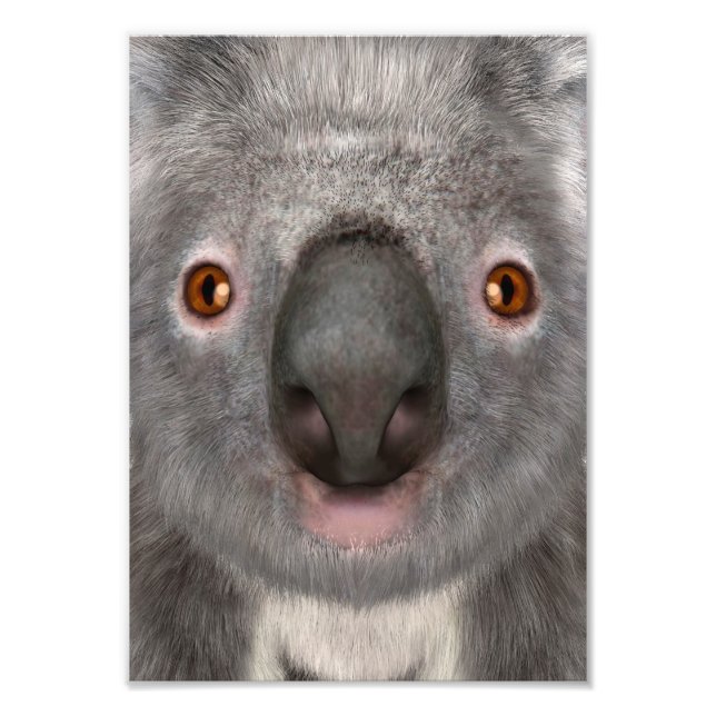 Foto Oso Koala (Frente)