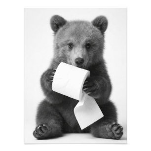 Foto Oso Lindo Sosteniendo Papel Higiénico Divertido Mi